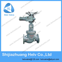 DN300 PN25 ELECTRIC GLOBE VALVE WCB